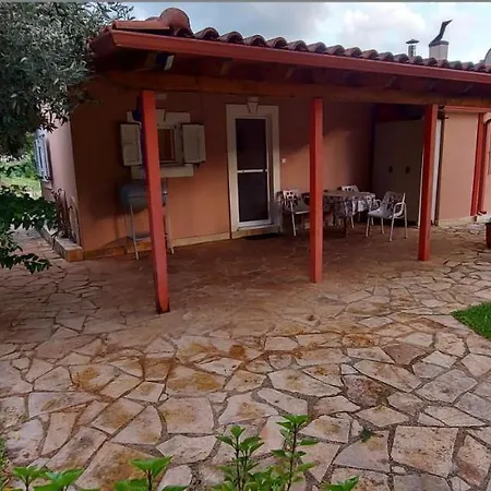 The Seasons Of Nickolas *