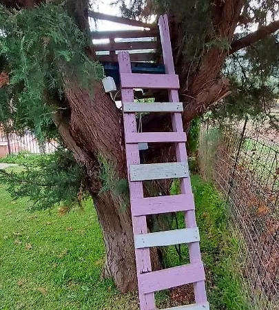 The Seasons Of Nickolas